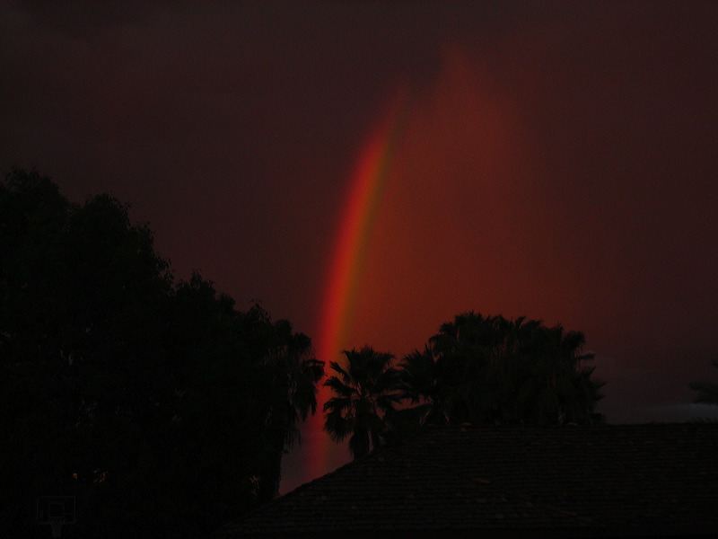 dscn0641.jpg