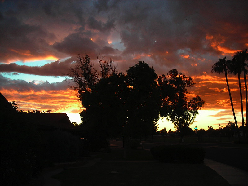 dscn0647.jpg