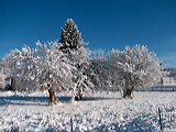 img_0188.jpg
