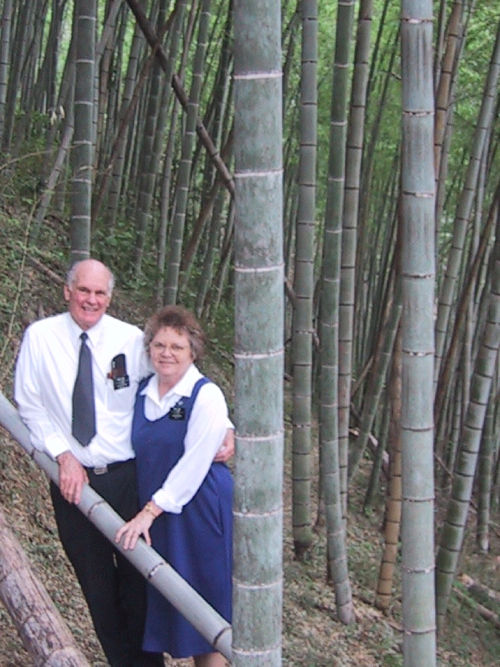 Bamboo Trail