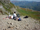 sleeping_mtn_goat