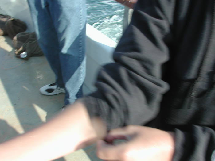 dscn3085