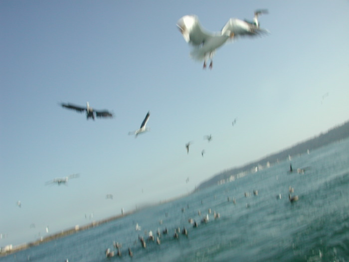 dscn3089