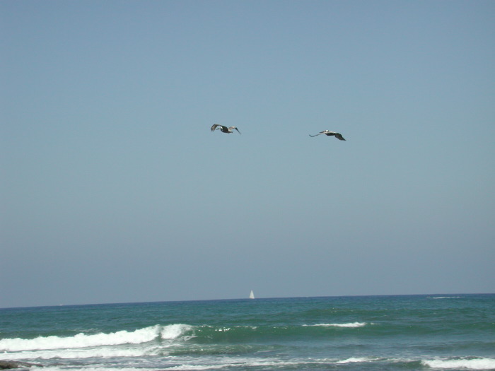dscn3129