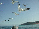 dscn3073