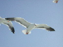 dscn3076