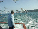 dscn3078