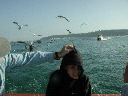 dscn3086