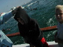 dscn3087