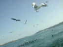 dscn3089