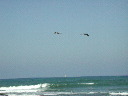 dscn3129