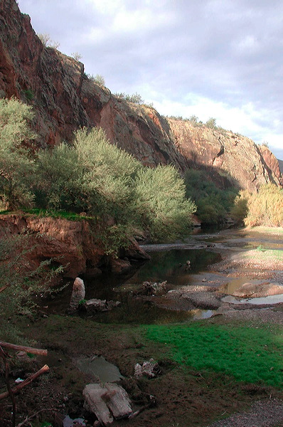 dscn6893.jpg