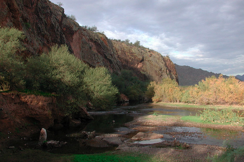 dscn6894.jpg