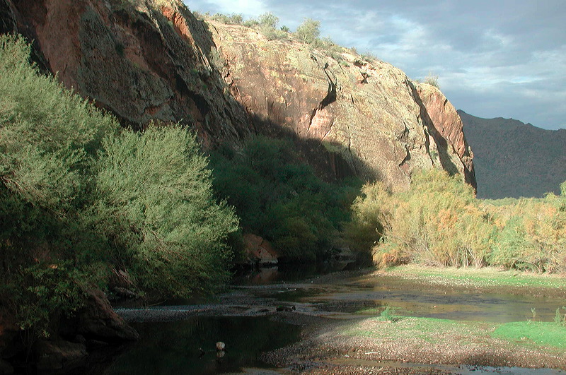 dscn6895.jpg