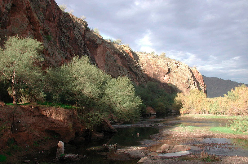 dscn6896.jpg