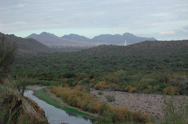 dscn6914.jpg