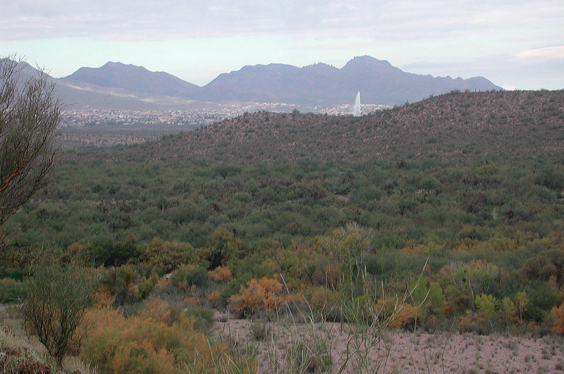 dscn6915.jpg