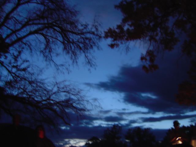 dsc00409.jpg