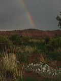 dsc00381