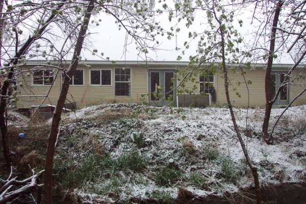 backofhouse