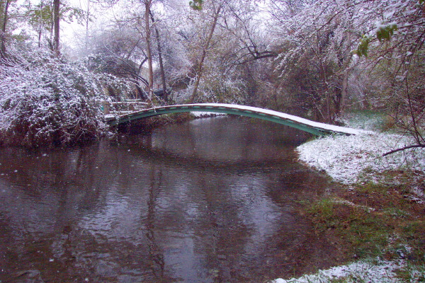 bridgeonpond