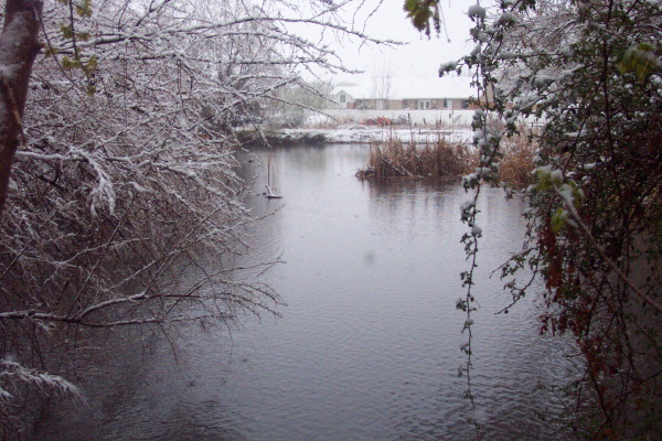 pond