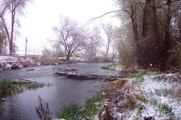 propertylineonriver