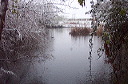 pond