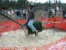 dscn4659