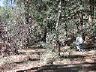 dscn4691