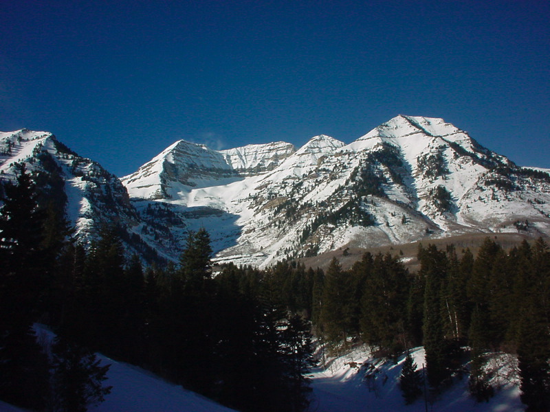 beautiful_timp.jpg