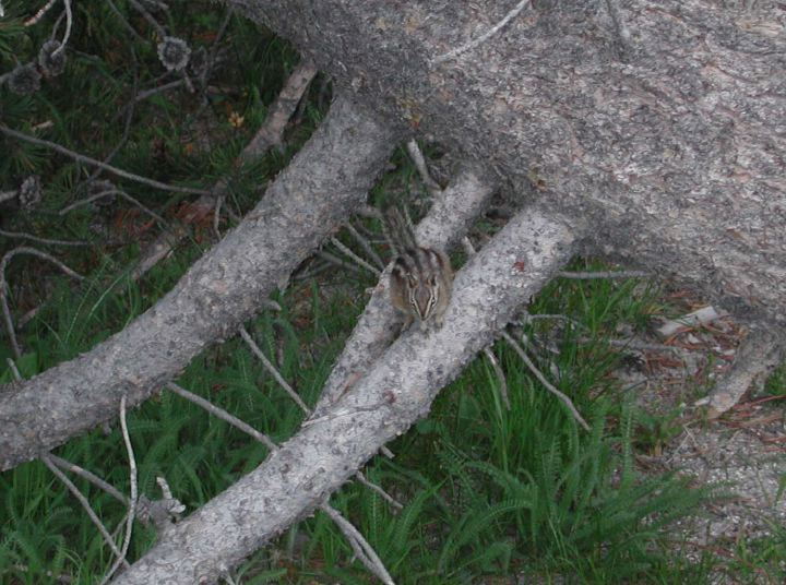 dscn6633.jpg