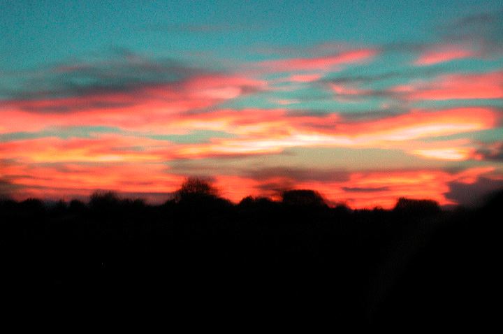 dscn6689.jpg