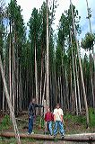dscn6647