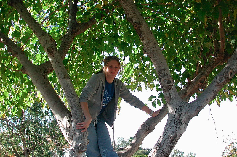 dscn7050.jpg